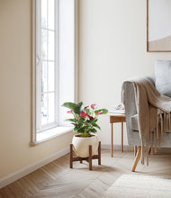 Load image into Gallery viewer, Shiny EggWhite stand:walnut
