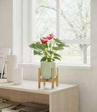 Load image into Gallery viewer, Turquoise stand:bamboo
