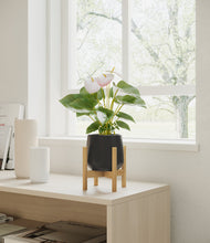 Load image into Gallery viewer, Black stand:bamboo
