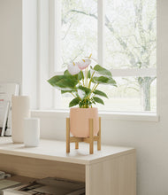 Load image into Gallery viewer, Gentle Pink stand:bamboo
