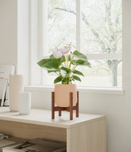 Load image into Gallery viewer, Gentle Pink stand:walnut
