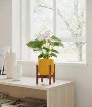 Load image into Gallery viewer, Mustard stand:walnut
