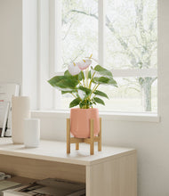 Load image into Gallery viewer, Calm Rose stand:bamboo
