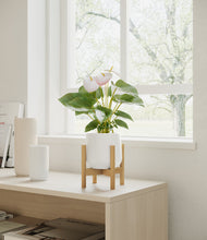 Load image into Gallery viewer, White stand:bamboo
