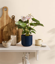 Load image into Gallery viewer, Twilight Blue
