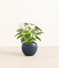 Load image into Gallery viewer, Deep Navy*****Profile
