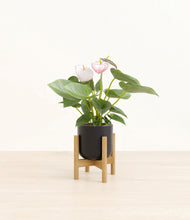 Load image into Gallery viewer, Stone Black stand:bamboo

