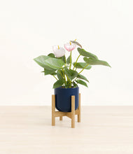 Load image into Gallery viewer, Twilight Blue stand:bamboo
