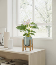 Load image into Gallery viewer, Reactive Aqua stand:bamboo
