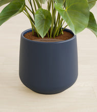 Load image into Gallery viewer, Deep Navy stand:all
