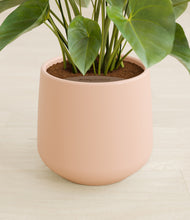 Load image into Gallery viewer, Gentle Pink stand:all
