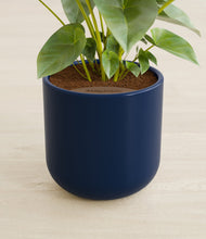 Load image into Gallery viewer, Twilight Blue stand:all
