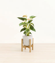 Load image into Gallery viewer, Hammered Ivory stand:bamboo
