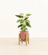 Load image into Gallery viewer, Hammered Rose Pink stand:bamboo
