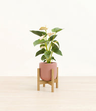 Load image into Gallery viewer, Striped Rose Pink stand:bamboo
