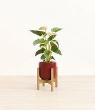 Load image into Gallery viewer, Striped Cherry Red stand:bamboo
