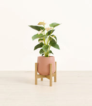 Load image into Gallery viewer, Calm Rose stand:bamboo
