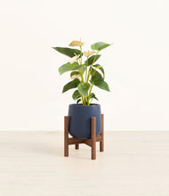 Load image into Gallery viewer, Deep Navy stand:walnut
