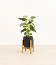 Load image into Gallery viewer, Stone Black stand:bamboo
