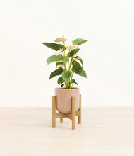 Load image into Gallery viewer, Glossy Pink stand:bamboo

