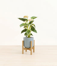 Load image into Gallery viewer, Misty Blue stand:bamboo
