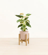 Load image into Gallery viewer, Sandy Pink stand:bamboo
