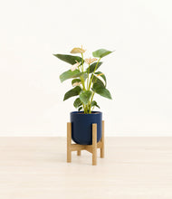 Load image into Gallery viewer, Twilight Blue stand:bamboo
