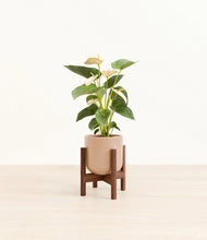 Load image into Gallery viewer, Glossy Pink stand:walnut
