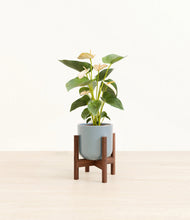 Load image into Gallery viewer, Misty Blue stand:walnut
