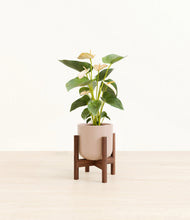 Load image into Gallery viewer, Sandy Pink stand:walnut
