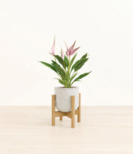 Load image into Gallery viewer, Hammered Ivory stand:bamboo
