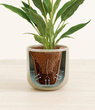 Load image into Gallery viewer, Sage Green stand:all
