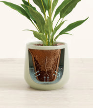 Load image into Gallery viewer, Turquoise stand:all
