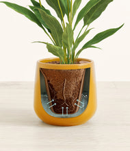 Load image into Gallery viewer, Mustard stand:all
