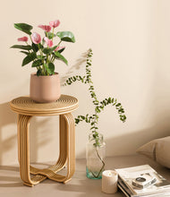 Load image into Gallery viewer, Gentle Pink
