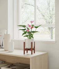 Lade das Bild in den Galerie-Viewer, Hammered Ivory stand:walnut
