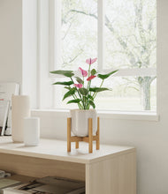 Lade das Bild in den Galerie-Viewer, Snowdrift White stand:bamboo
