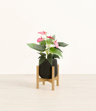 Load image into Gallery viewer, Black stand:bamboo
