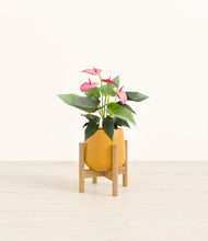 Load image into Gallery viewer, Mustard stand:bamboo
