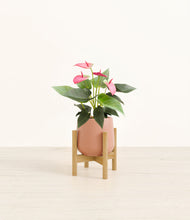 Load image into Gallery viewer, Calm Rose stand:bamboo
