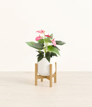 Load image into Gallery viewer, White stand:bamboo
