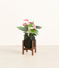 Load image into Gallery viewer, Black stand:walnut
