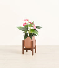 Load image into Gallery viewer, Calm Rose stand:walnut
