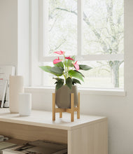 Load image into Gallery viewer, Olive stand:bamboo
