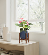 Load image into Gallery viewer, Deep Navy stand:walnut
