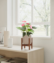 Load image into Gallery viewer, Eternal Gray stand:walnut
