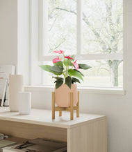 Load image into Gallery viewer, Gentle Pink stand:bamboo
