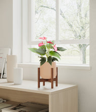 Load image into Gallery viewer, Gentle Pink stand:walnut
