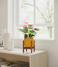 Load image into Gallery viewer, Mustard stand:walnut
