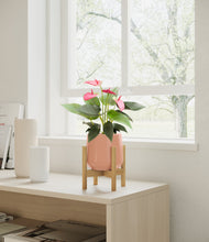 Load image into Gallery viewer, Calm Rose stand:bamboo
